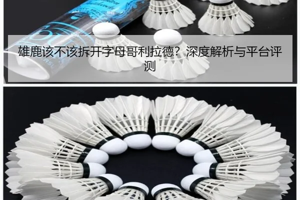 雄鹿该不该拆开字母哥利拉德？深度解析与平台评测